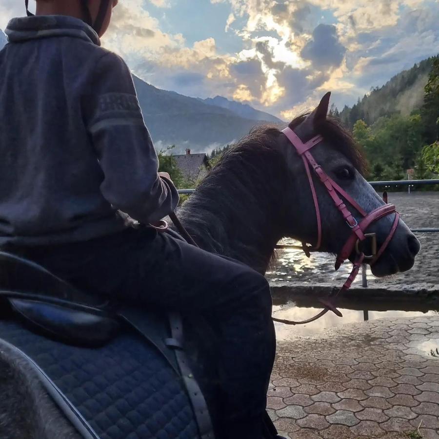 Appartamento Sport & Sunny Cosy Alpine Retreat Kranjska Gora Esterno foto